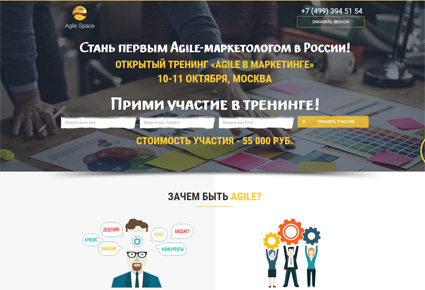 разработка лендинг пейдж