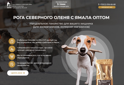 разработка лендинг пейдж